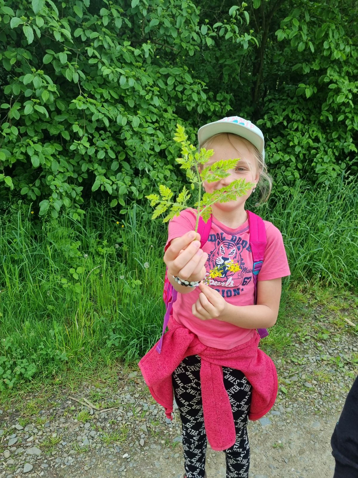 24. + 25. dubna 2023 Poznávací stezka pro 1. stupeň, návštěva SLŠ v Hranicích a exkurze v arboretu SLŠ